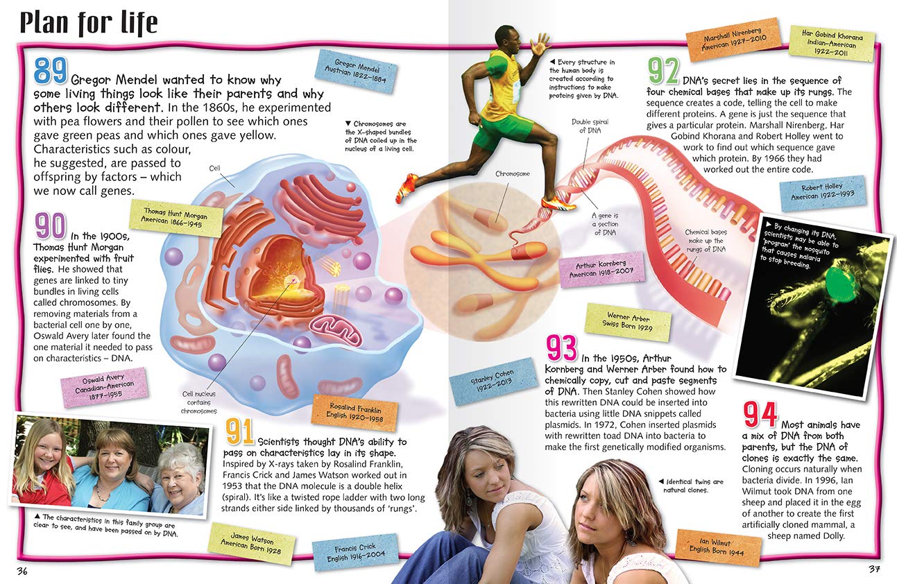 100 Facts: Great Scientists