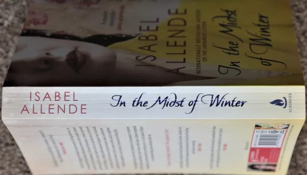 In The Midst Of Winter (Novel)