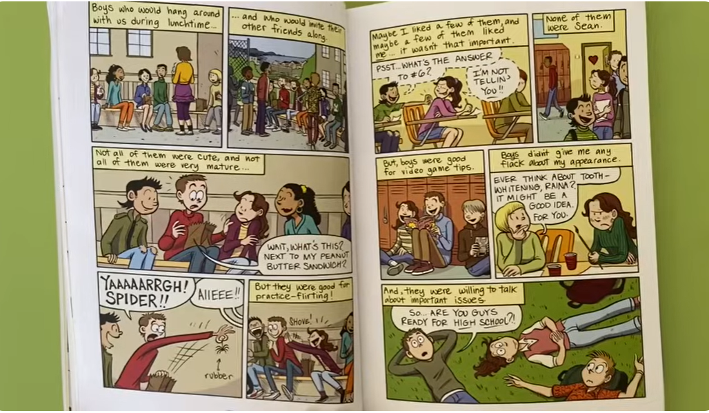 Graphic Novel - SMILE : Raina Telgemeier (Asian Edition)