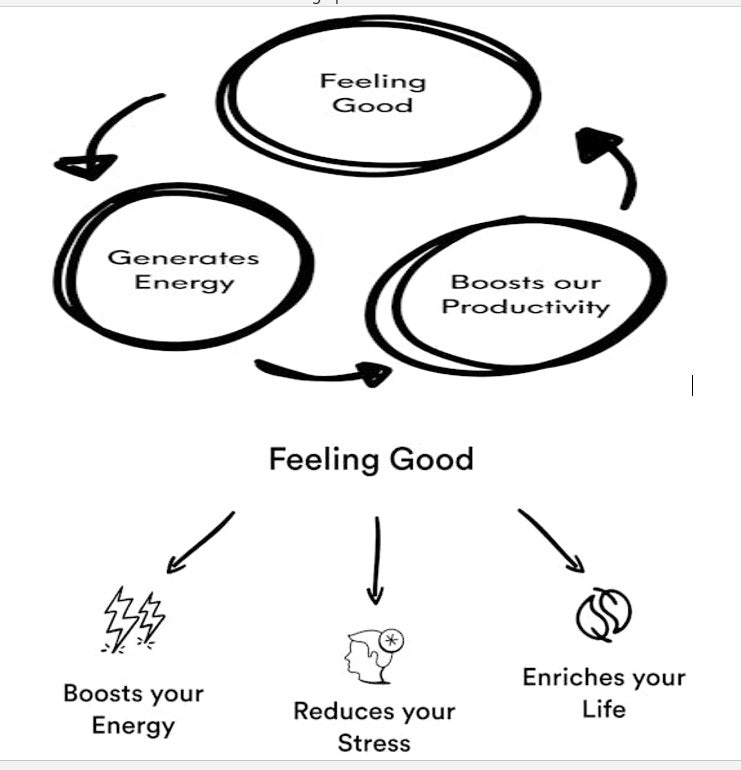 Feel Good Productivity : How to Do More of What Matters to You by Ali Abdaal (New-2025 Published)