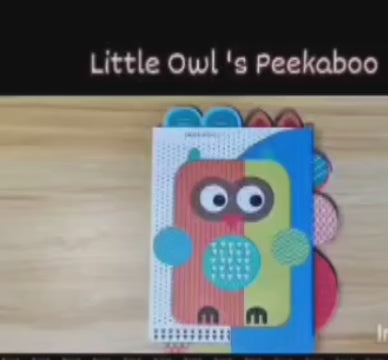 Little Owl’s Peekaboo (Children Board Book) by Make Believe Ideas Publishing